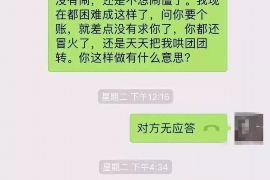 嘉陵为什么选择专业追讨公司来处理您的债务纠纷？